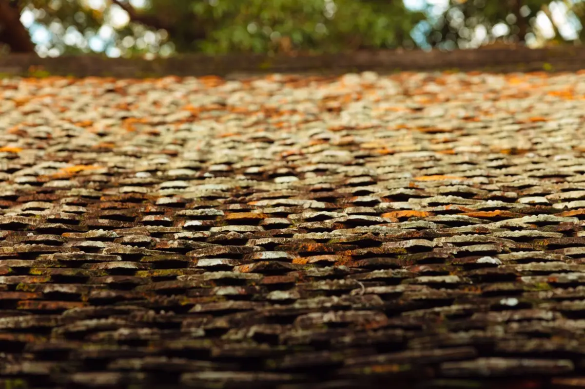 Aging shingle roof with moss growth and granule loss in North Port, FL